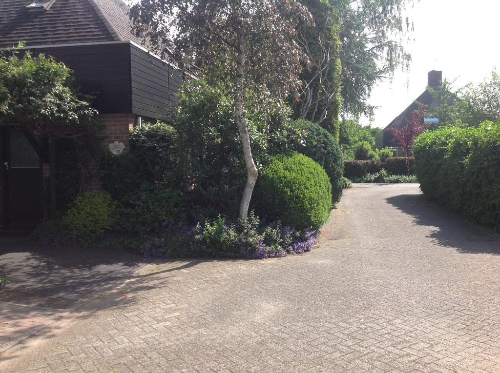 B&B Molenzicht Warnsveld Eksteriør bilde
